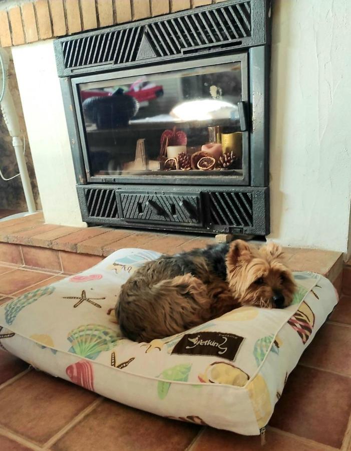 Вілла La Ultima Casa Masboquera Mas Boquera Екстер'єр фото